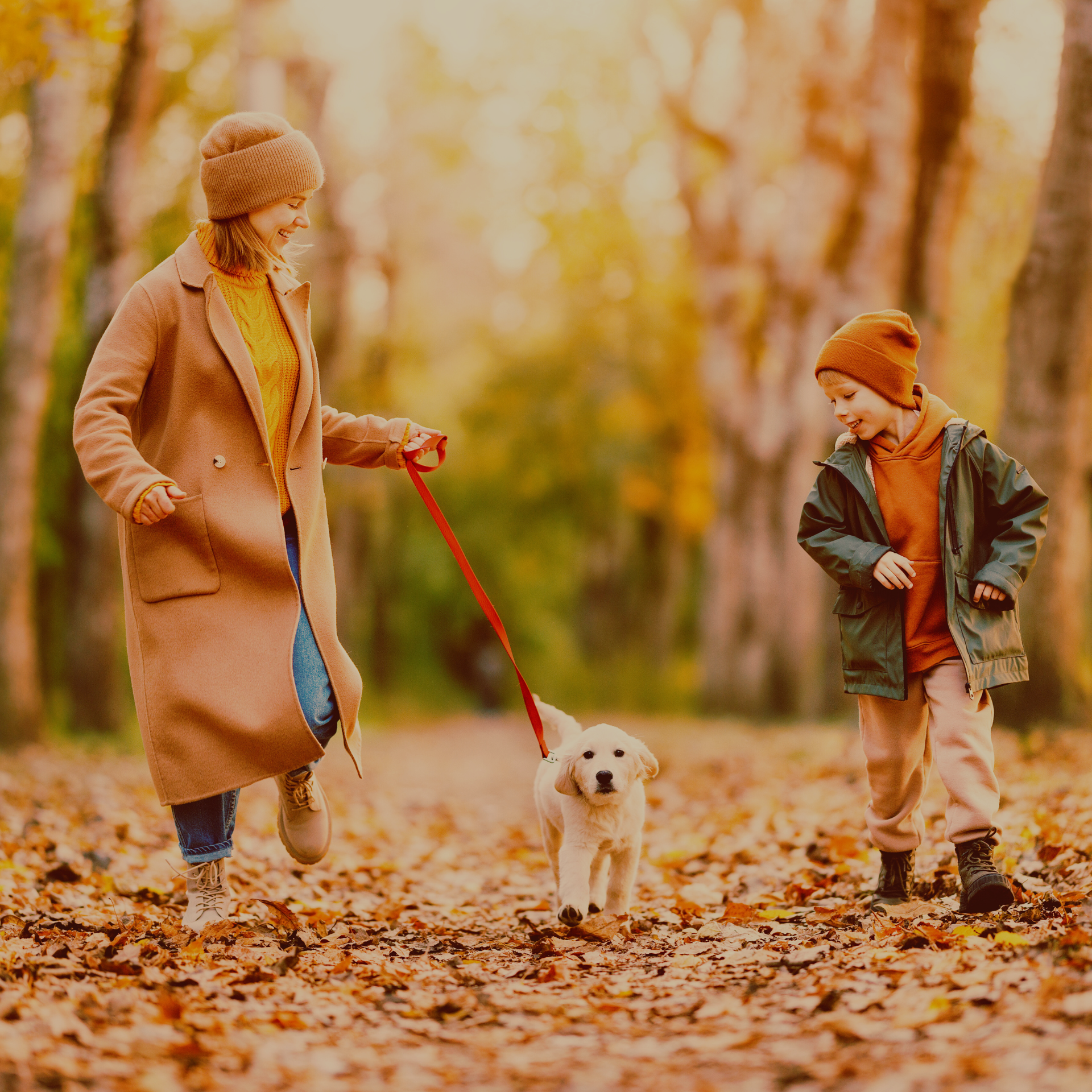 Mom and son going for a walk in the fall leaves with a young puppy.